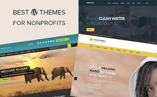 21 Best WordPress Themes for Nonprofit Organizations
