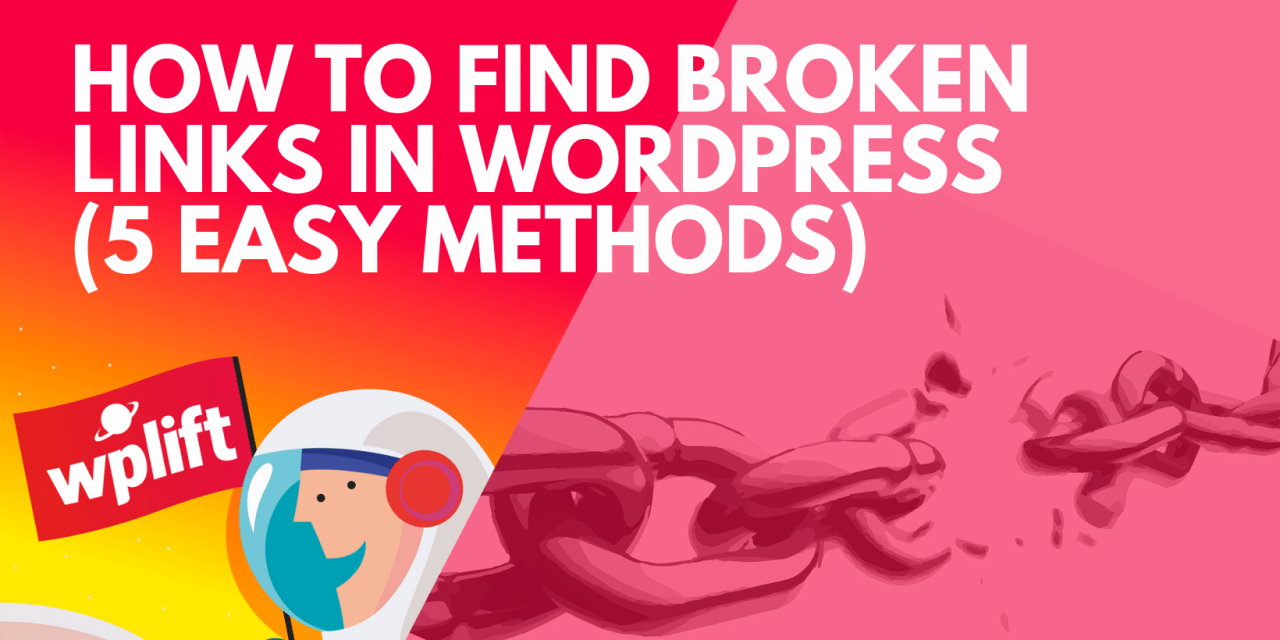 How to Find Broken Links in WordPress (5 Easy Methods)