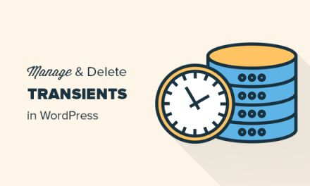 How to Manage and Delete Transients in WordPress