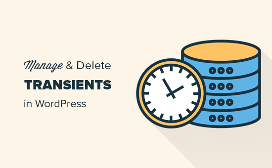 How to Manage and Delete Transients in WordPress