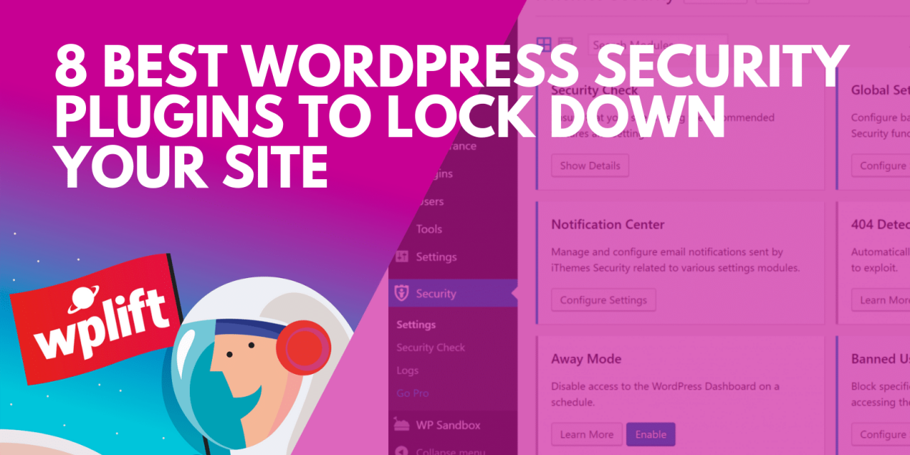 8 Best WordPress Security Plugins to Lock Down Your Site