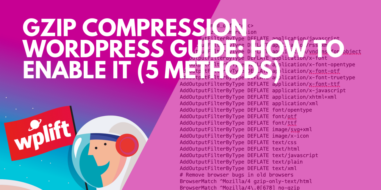 Gzip Compression WordPress Guide: How to Enable It (5 Methods)