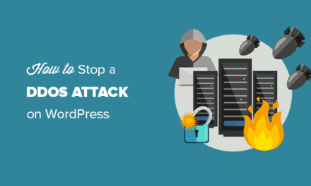How to Stop and Prevent a DDoS Attack on WordPress