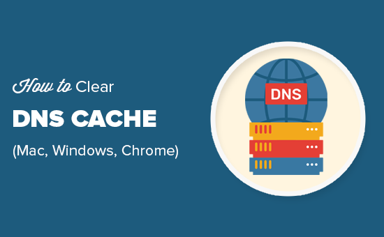 How to Clear Your DNS Cache (Mac, Windows, Chrome)