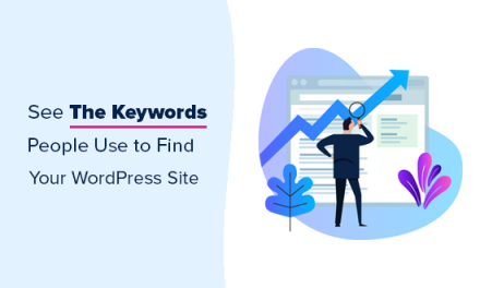 How to See the Keywords People Use to Find Your WordPress Site