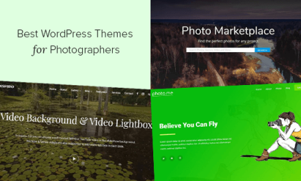 25 Best WordPress Themes for Photographers (2020)