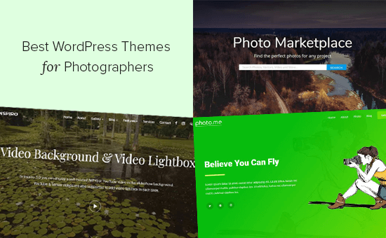 25 Best WordPress Themes for Photographers (2020)
