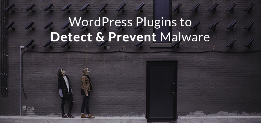 The Best Plugins to Scan WordPress for Malware