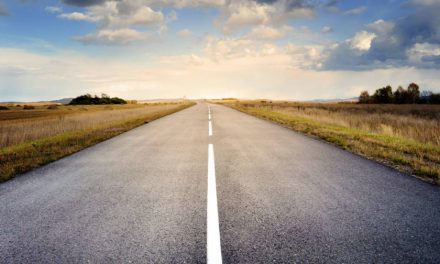 The Road Ahead: What’s in Store for WordPress for the Rest of 2020?