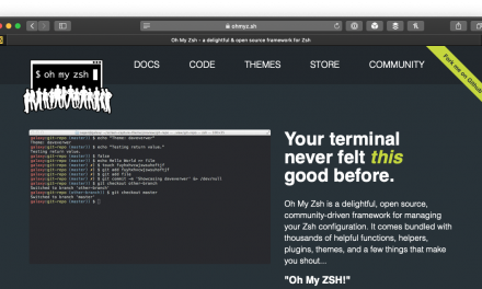 Using PHPCS with Oh My Zsh