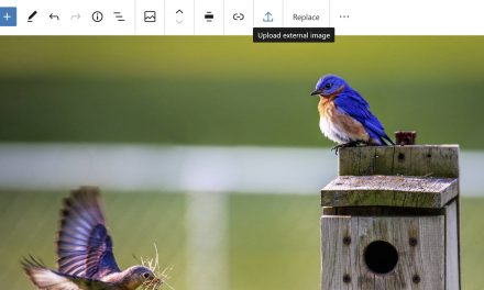 Gutenberg 8.5 Adds Single Gallery Image Editing, Allows Image Uploads From External Sources, and Improves Drag and Drop