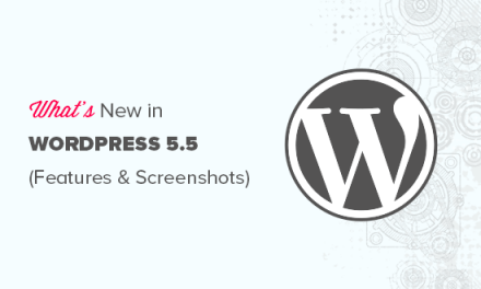 What’s New in WordPress 5.5 (Features and Screenshots)