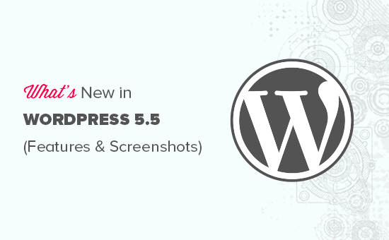What’s New in WordPress 5.5 (Features and Screenshots)