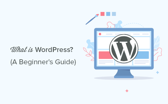 What is WordPress? A Beginner’s Guide (FAQs + Pros and Cons)