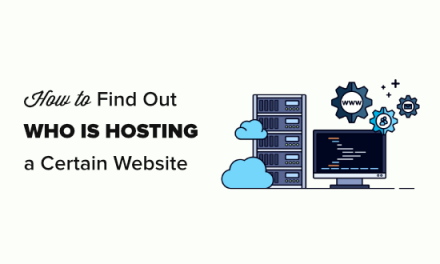 How to Find Out Who is Hosting a Certain Website (2 Ways)