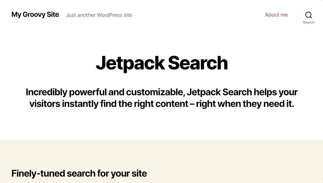 The New Jetpack Search Add-On