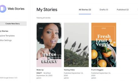 Using the Web Stories for WordPress Plugin? You Better Play By Google’s Rules
