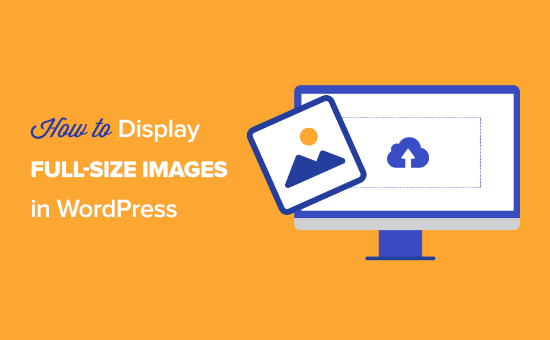 How to Display Full Size Images in WordPress (4 Methods)