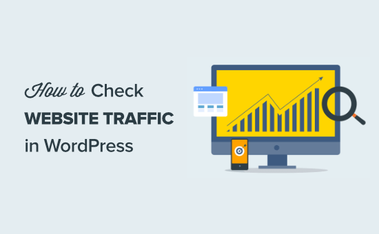 How to Check Website Traffic for Any Site (7 Best Tools)