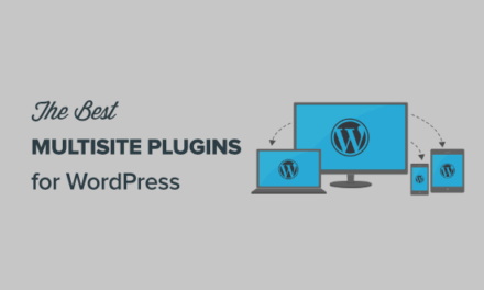 13 Best WordPress Multisite Plugins You Should Use (Expert Pick)