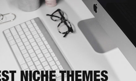 15+ Best Professional Niche WordPress Themes