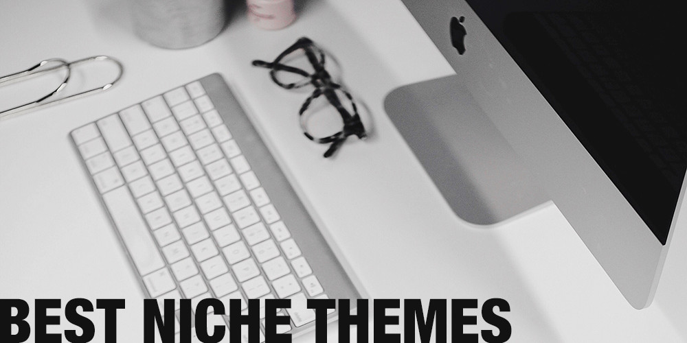 15+ Best Professional Niche WordPress Themes