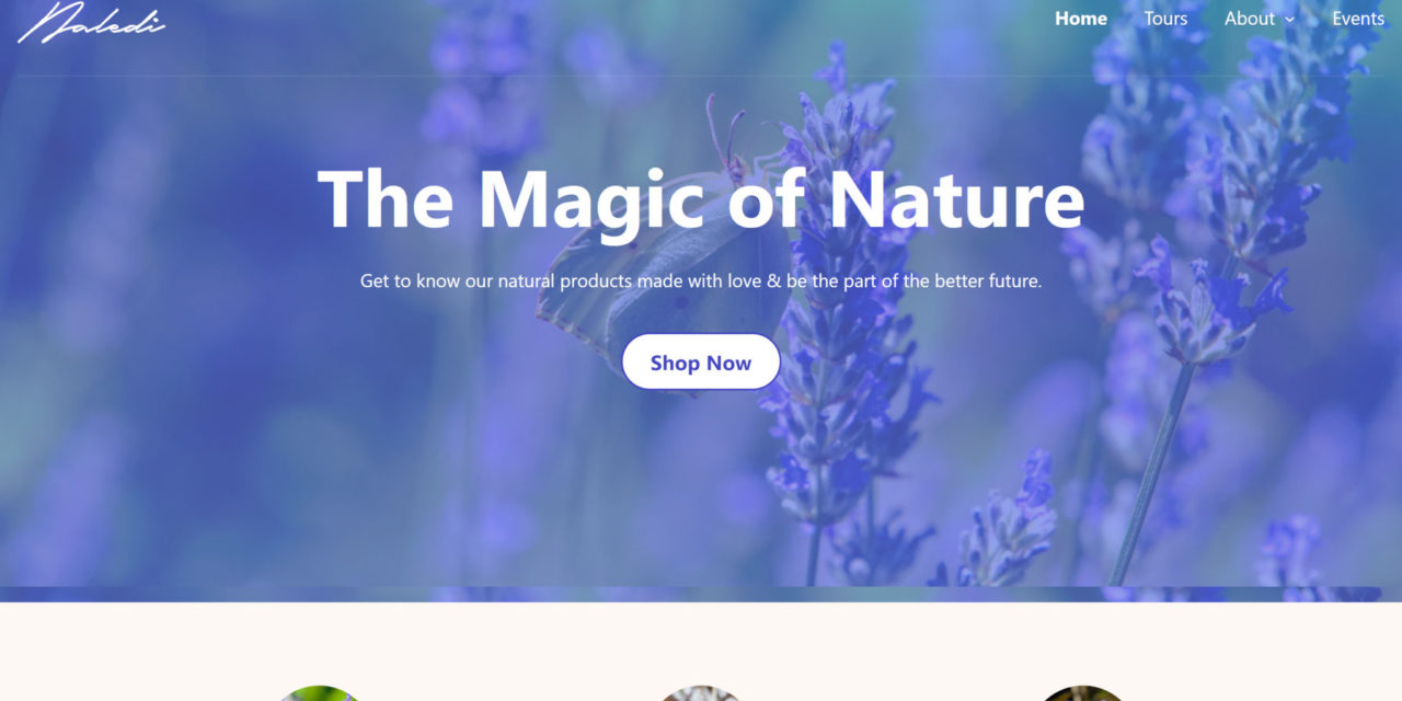 Anariel Design Launches Naledi, a Block-Based WordPress Theme