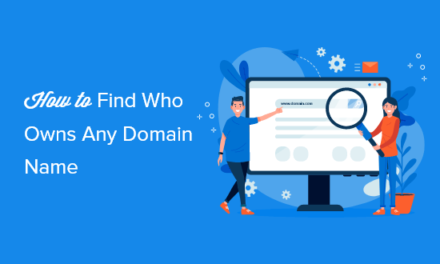 How to Find Out Who Actually Owns a Domain Name? (3 Ways)