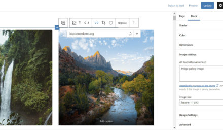 Gutenberg 11.4 Overhauls Galleries, Adds Axial Padding for Buttons, and Lays Groundwork for Global Spacing