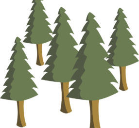 Evergreen Content: What It Is & How to Use It to Grow Your Traffic