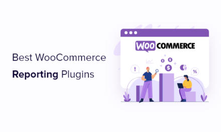 7 Best WooCommerce Reporting and Analytics Plugins for 2021