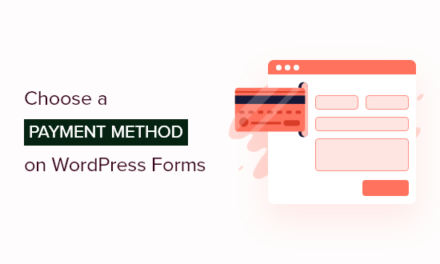 How to Allow Users to Choose a Payment Method on WordPress Forms