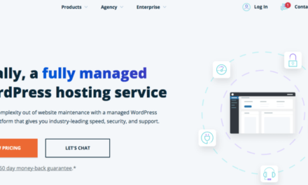 How to Choose the Right Hosting Service for Your WordPress Website (3 Considerations)