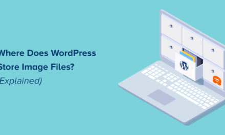 Where Does WordPress Store Images on Your Site?