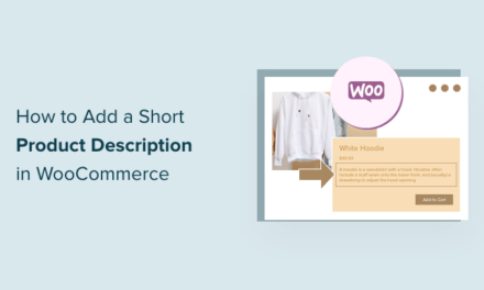 How to Add a Short Product Description in WooCommerce