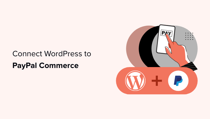 How to Connect WordPress to PayPal Commerce