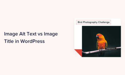 Image Alt Text vs Image Title in WordPress – What’s the Difference?