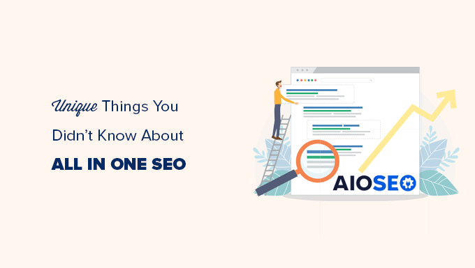33 Unique Things You Didn’t Know About All in One SEO (Pro Tips)