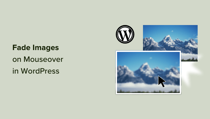 How to Fade Images on Mouseover in WordPress (Simple & Easy)