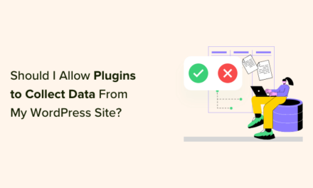 Should I Give Permission for WordPress Plugins to Collect Data?