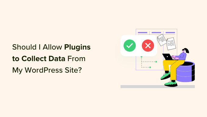 Should I Give Permission for WordPress Plugins to Collect Data?