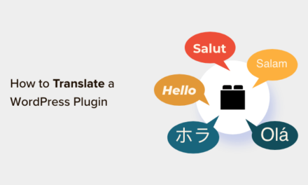 How to Translate a WordPress Plugin in Your Language