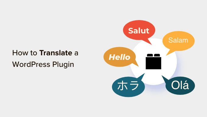 How to Translate a WordPress Plugin in Your Language