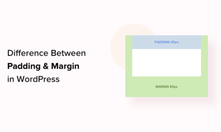 What’s the Difference Between Padding and Margin in WordPress?