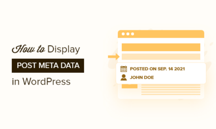 How to Display Blog Post Meta Data in Your WordPress Themes
