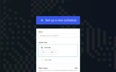 Introducing Scheduled Updates: Tailored Plugin Management for Your Website